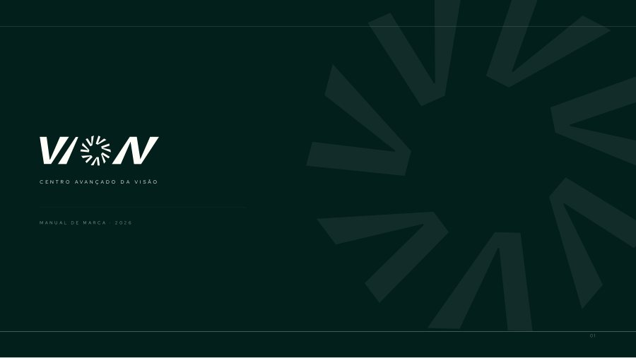 VION — identidade visual